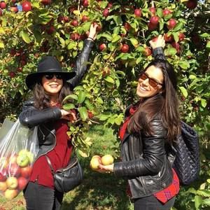 Meet your Posher, Caitlin